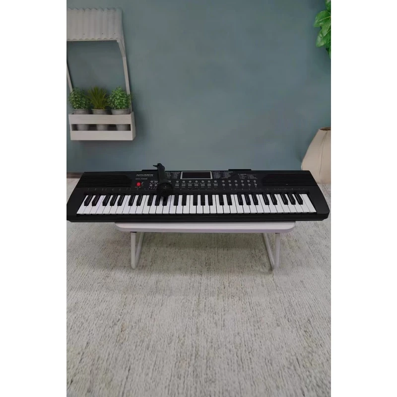 61键多功能教学电子钢琴初学琴双键盘电子琴1