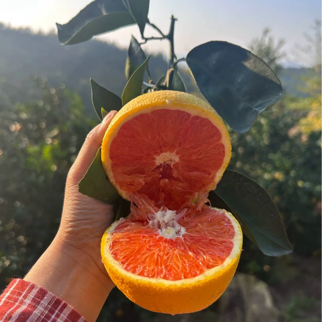 江西赣南血橙 味清甜带香 肉色橙红
