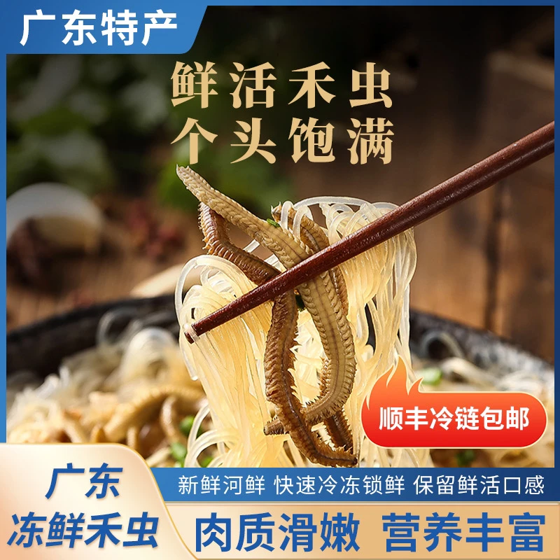 冻鲜禾虫（广东特产禾虫 ）广东特色美食、品尝装250g(春禾夏虫)