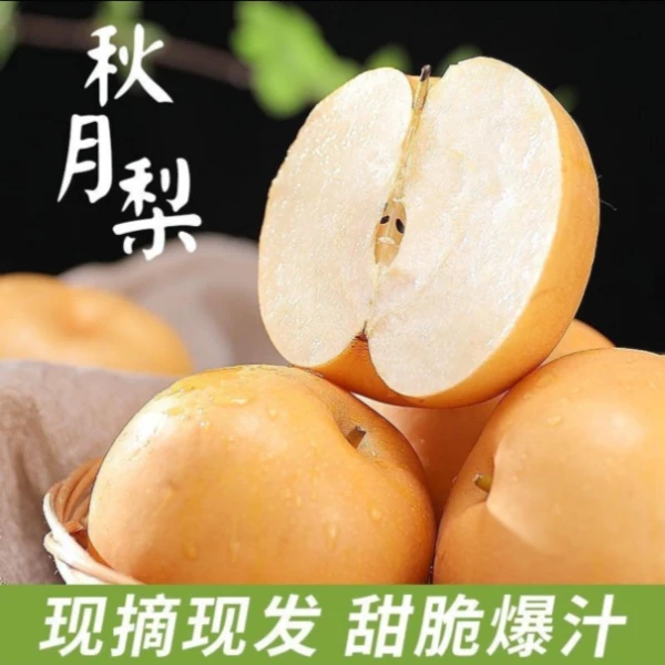【京东】正宗砀山秋月梨4.5-5斤装脆甜多汁细腻化渣现摘现发新鲜
