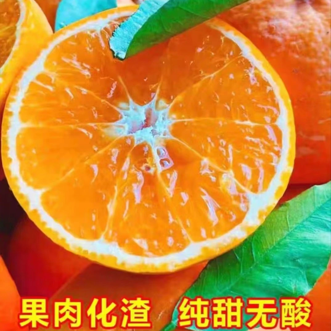 沃柑现摘现发10斤中小福利果新鲜采装包邮lm