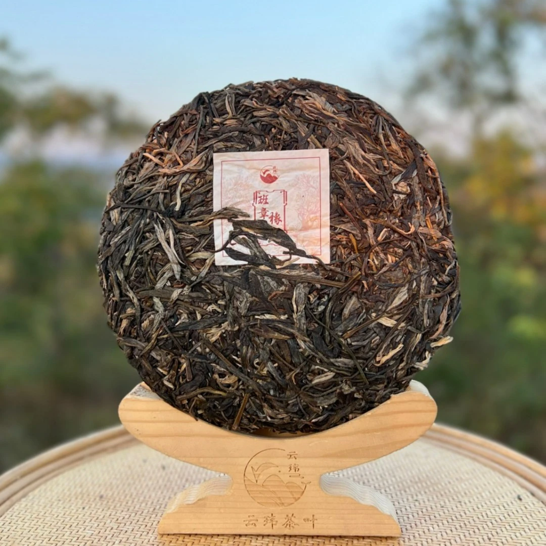云玮茶叶班章橡筋 2019年头春古树普洱茶生茶(紧压茶)400g 珍藏