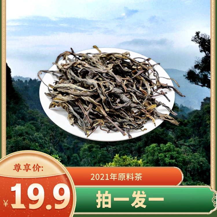 云玮茶叶贺开古树普洱茶50g散装