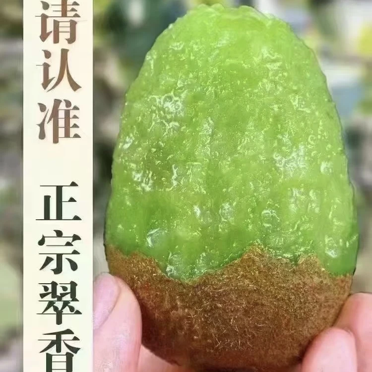 【农佳优品甄选】周至 翠香猕猴桃 产地直发