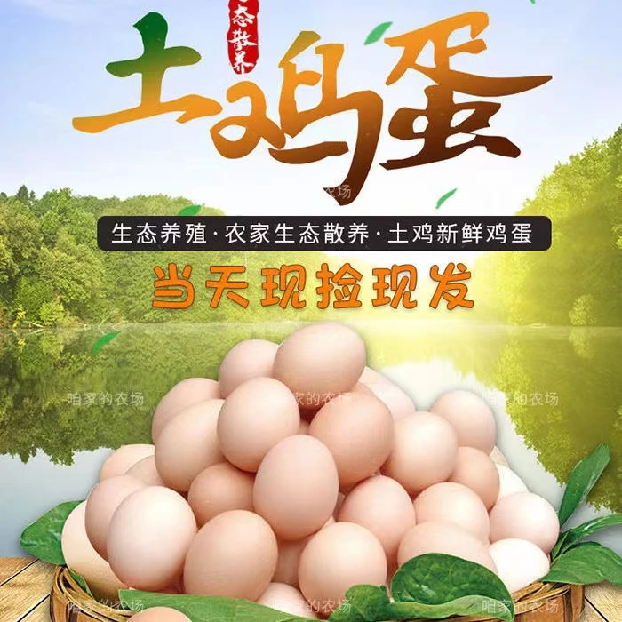 【顺丰包邮】正宗农家散养土鸡蛋新鲜出生鸡蛋超大鸡蛋谷物蛋笨鸡蛋