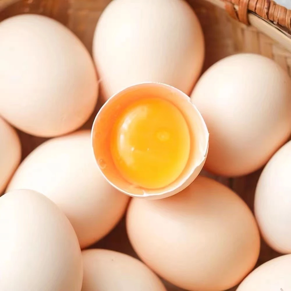 【宠粉福利】到手六枚农家土鸡蛋45g/枚散养土鸡蛋请勿留中差评