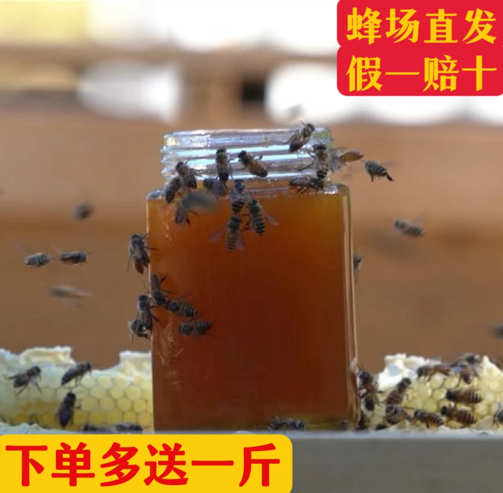 【假一赔十】深山百花蜜3斤 原蜜 蜂场直发