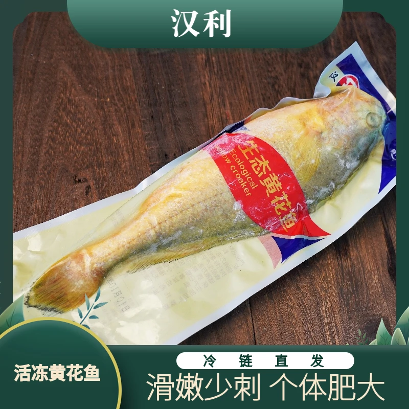 汉利活冻黄花鱼生态大黄鱼海鲜冷冻黄花鱼海鱼