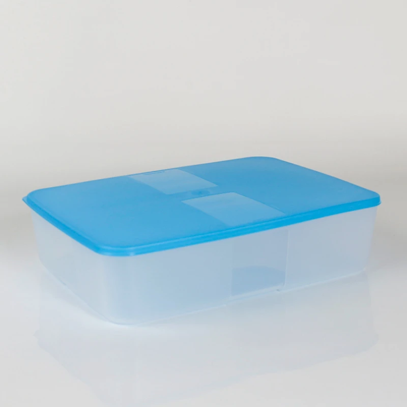 3.3L升冷冻保鲜盒馄饨饺子收纳盒密封透明长方形盒子防潮防尘保鲜