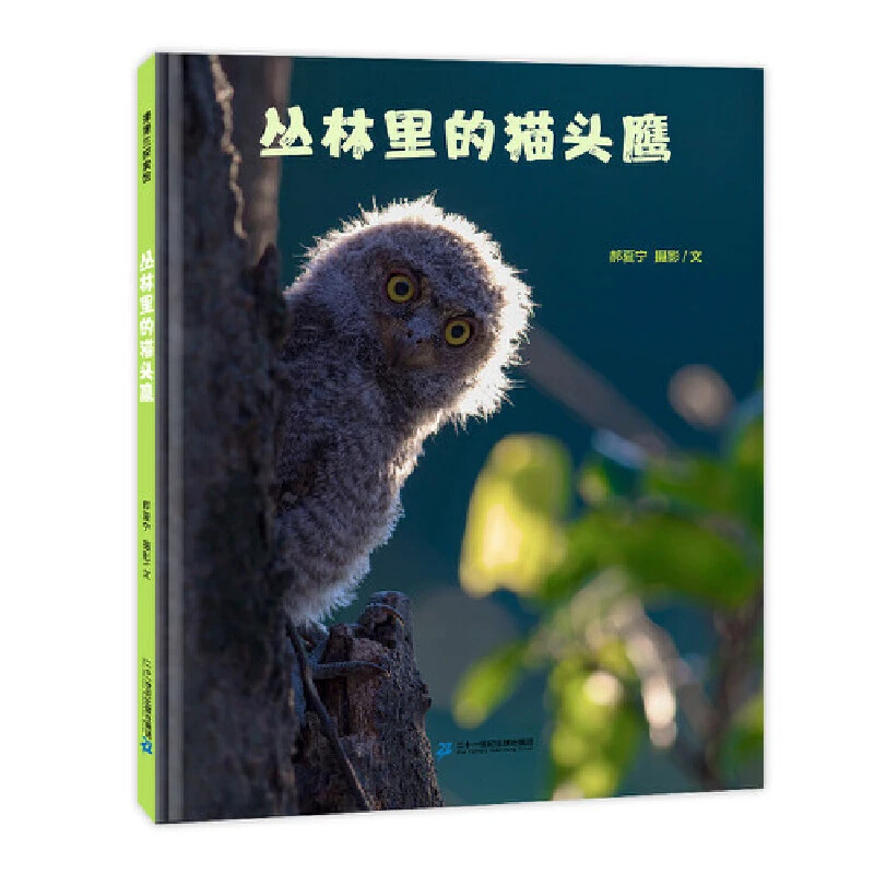 丛林里的猫头鹰 蒲蒲兰绘本馆