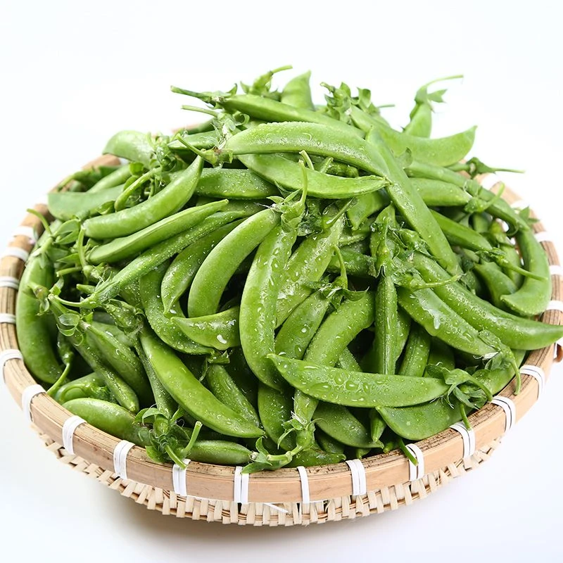 云南甜豆甜蜜豆脆嫩甜豆时令蔬菜清脆带壳甜豆