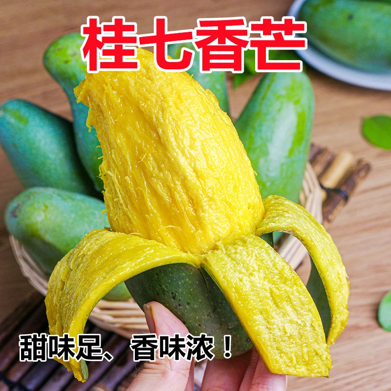 广西百色桂七香芒青皮芒甜度高香味浓新鲜果园包邮直发3-9斤