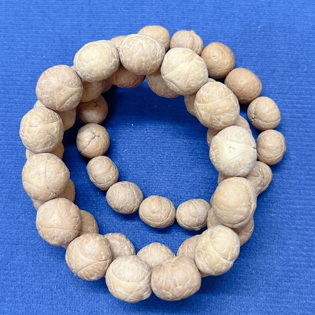 【闪购商品】龙眼菩提手串路*13/16/17各1龙眼88@8196