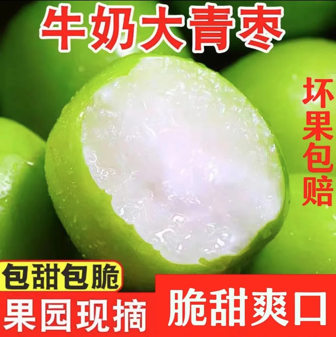 【精选蜜枣】果园价福建牛奶大青枣新鲜水果脆甜多汁贵妃枣产地直发
