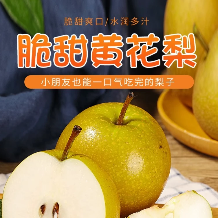 新鲜黄花梨2024年头茬果当季孕妇水果翠甜可口汁水充足整箱包邮
