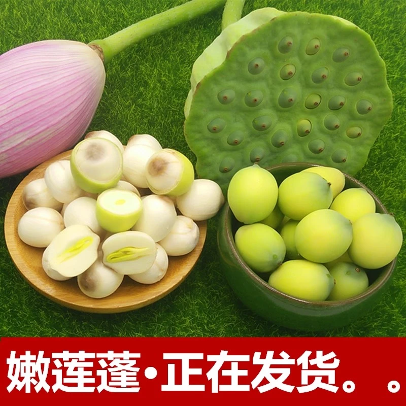 小晨家 湖北嫩莲蓬新鲜生莲子米嫩甜水果孕妇当季现摘露水莲蓬