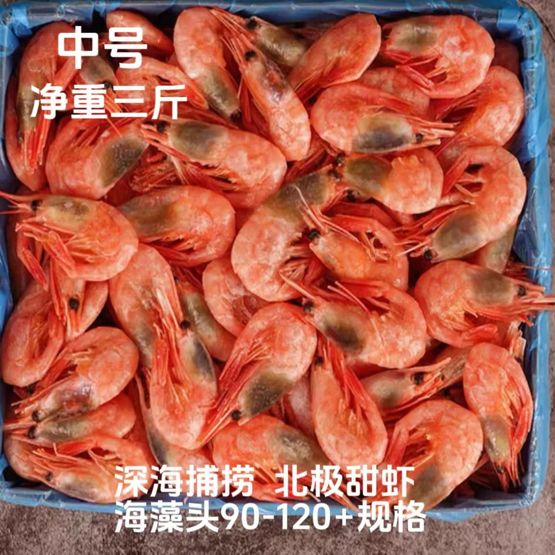 海藻头90-120+中号北极熊精选北极甜虾净重十斤个别残虾介意勿拍