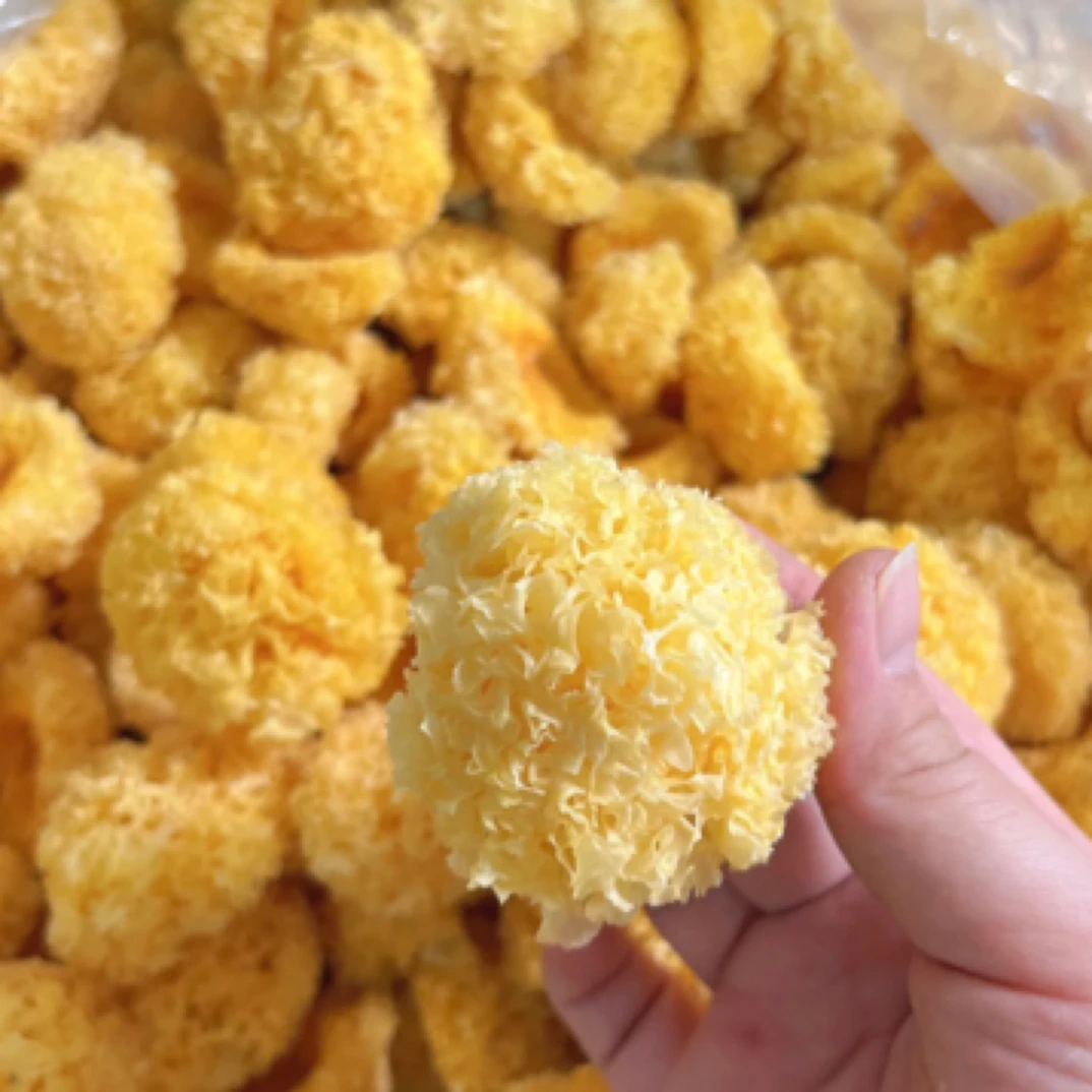 古田椴木小银耳干货软糯出胶快白木耳莲子羹