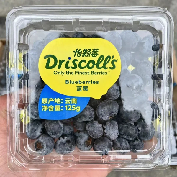 玺韵水果-云南怡颗莓  蓝莓14MM（125g装）蓝莓同城送