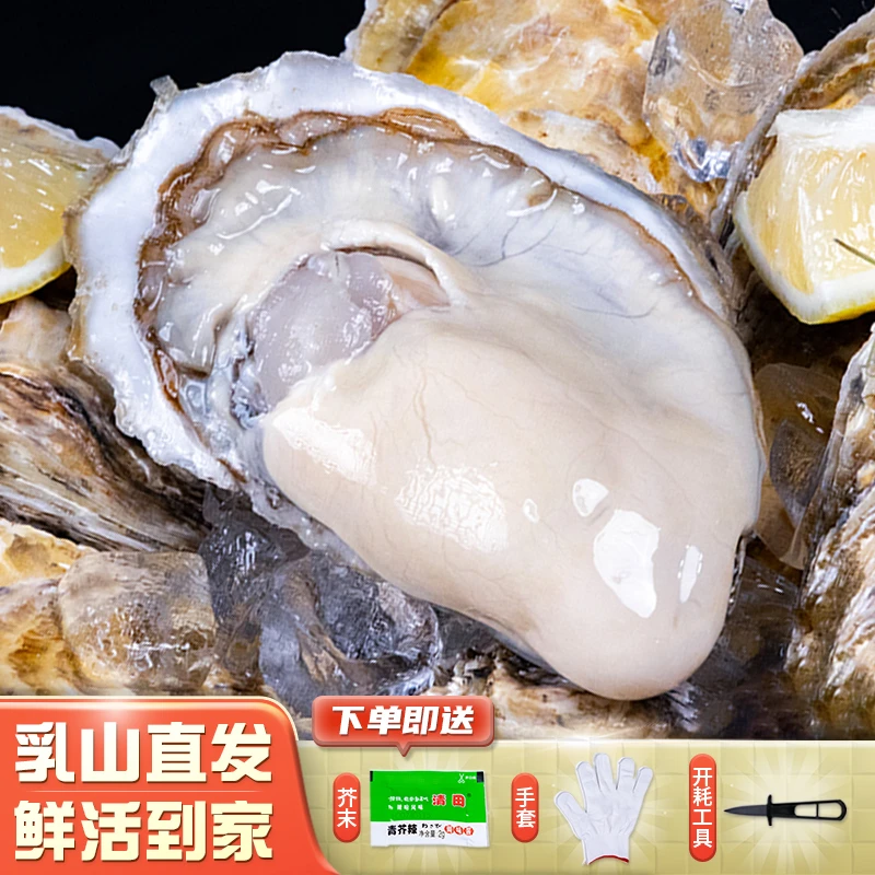 【大蚝王五斤装】正宗乳山生蚝巨无霸家族生蚝特大号超级大号蚝王