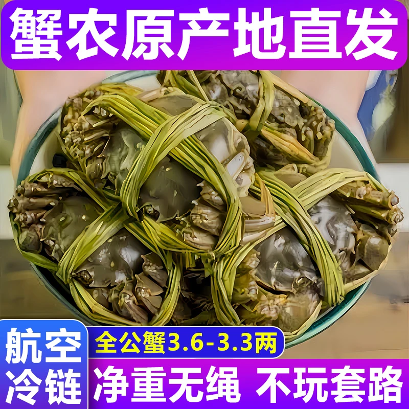 【活蟹】大闸蟹全公蟹3.6-3.3两8/10只螃蟹鲜活去绳净重礼盒装顺丰