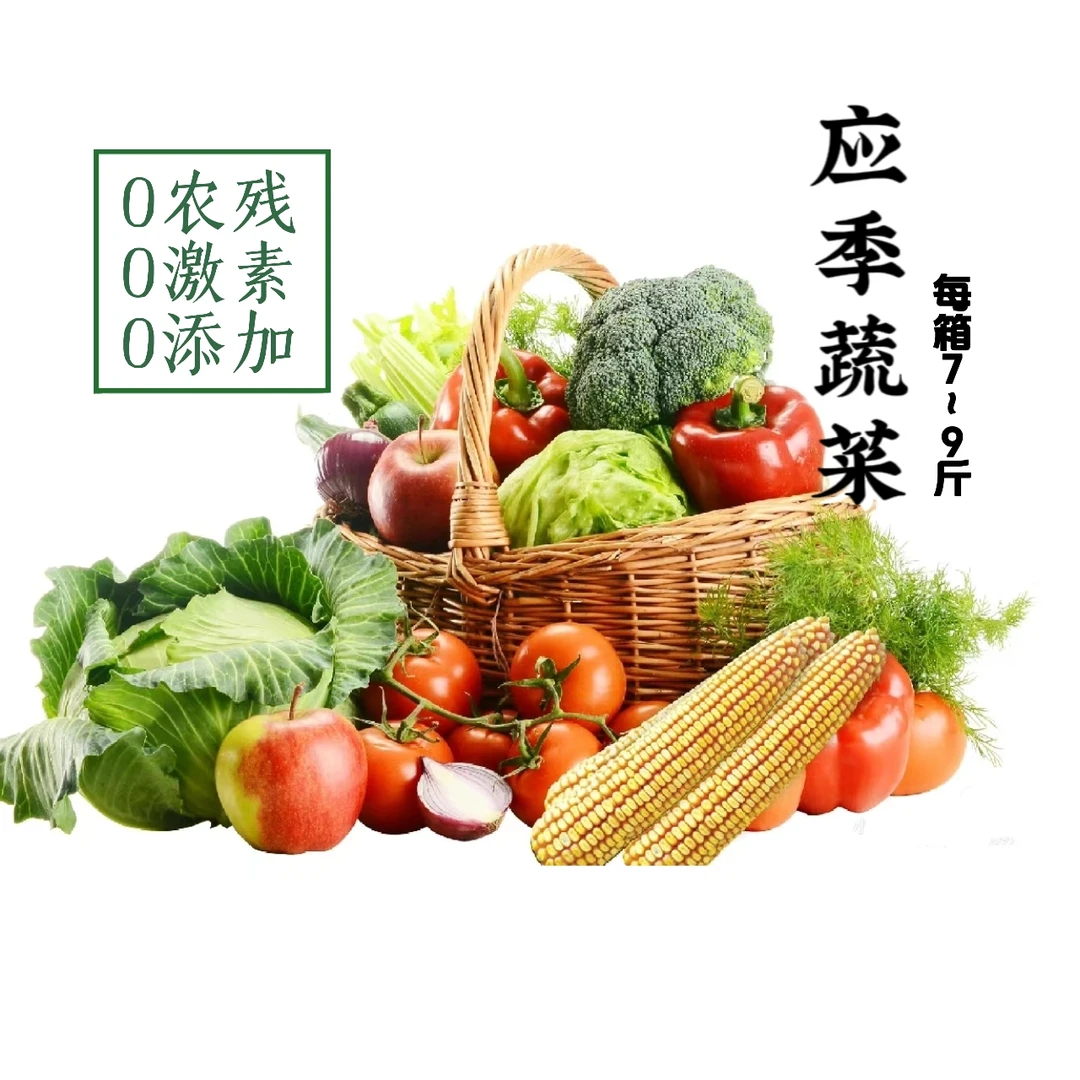 应季蔬菜品鉴箱(净重7-9斤 随机4-7种菜品)营养组合健康丰富