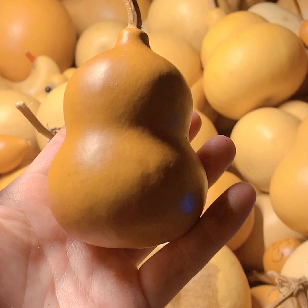 【闪购商品】天然葫芦没*脑