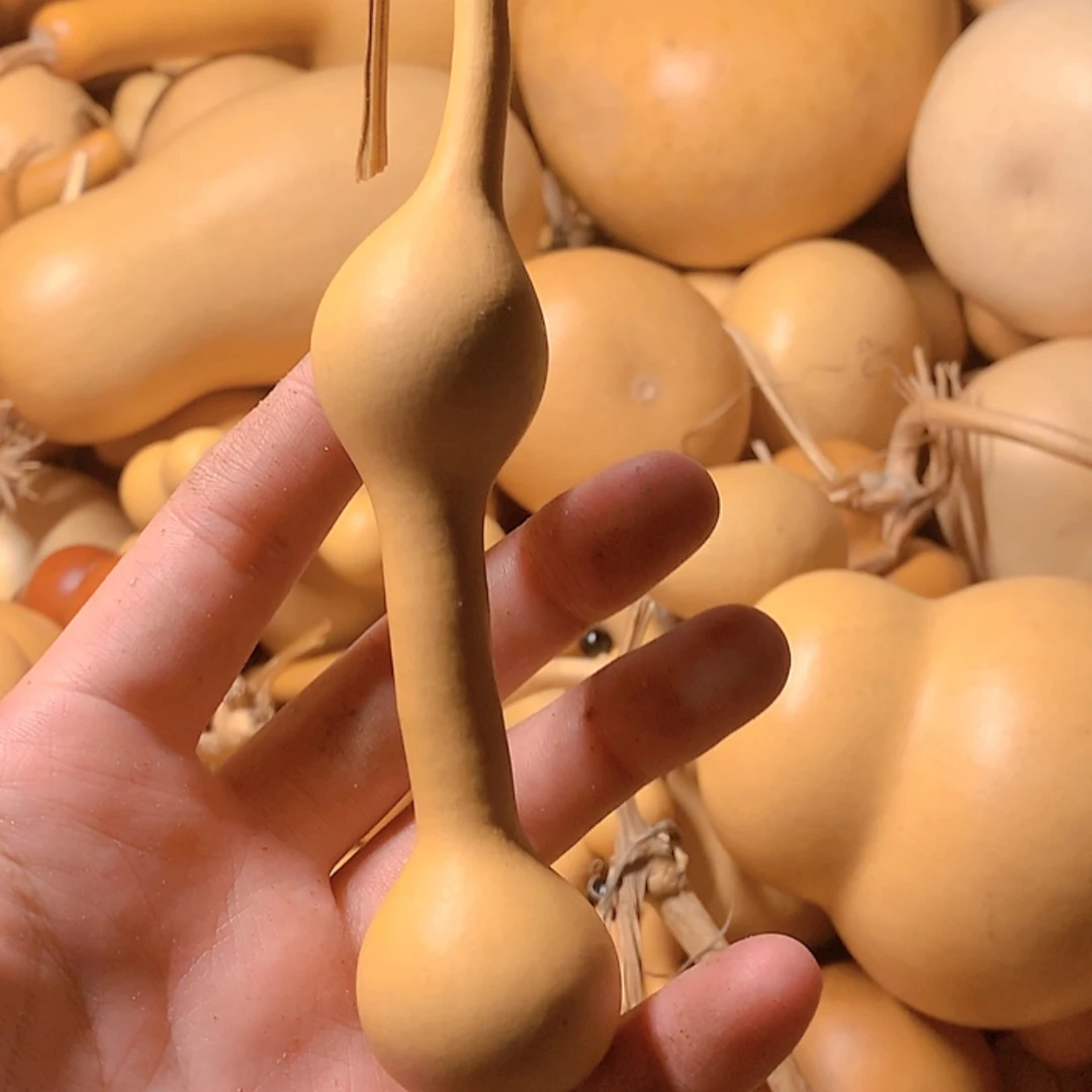 【闪购商品】天然葫芦郎