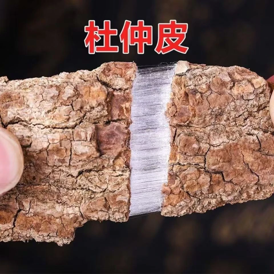 杜仲 精选四川产地 老树杜仲