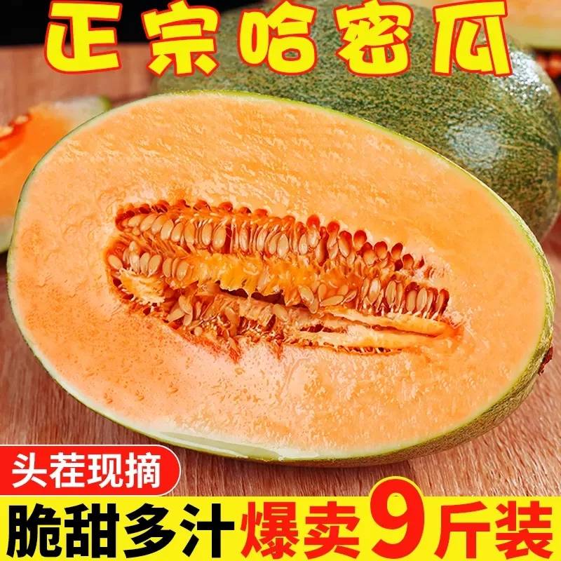 海南哈密瓜晓蜜25新鲜水果应当季网纹西州蜜瓜甜瓜整箱新疆1-9斤