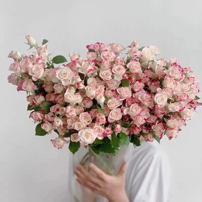 【随机色多头玫瑰10支】任意两件包邮云南昆明鲜花基地直发