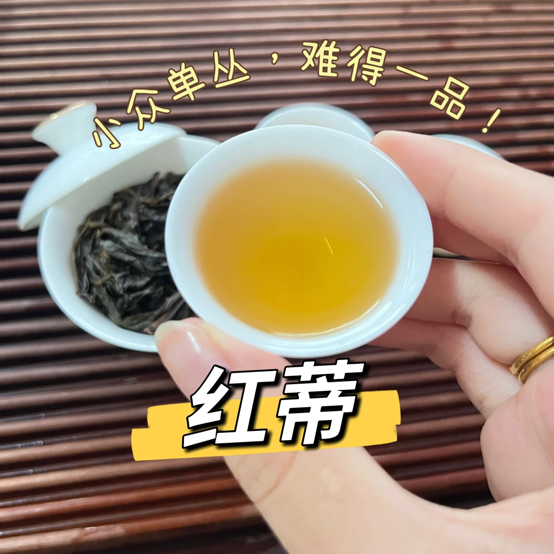 ［春.红蒂］潮州工夫茶凤凰单丛乌龙茶 中高山炭焙 甘甜带香 耐泡