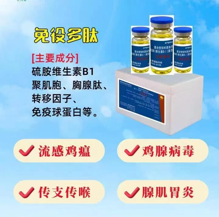 免疫多肽二件套：水绿便，肠道问题