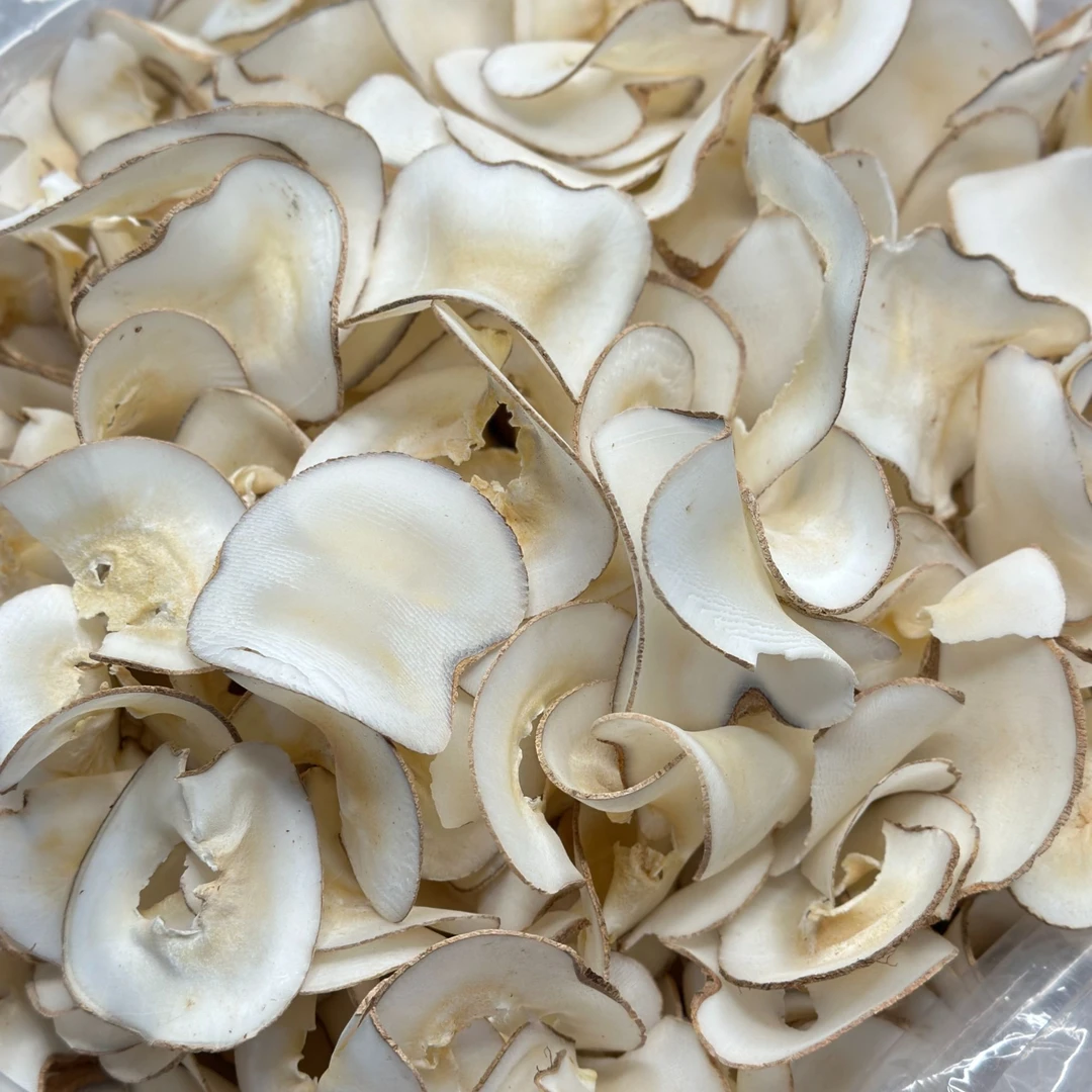 【龙兄滋补】海底椰250g 散装农产品 椰子片煲汤煮水