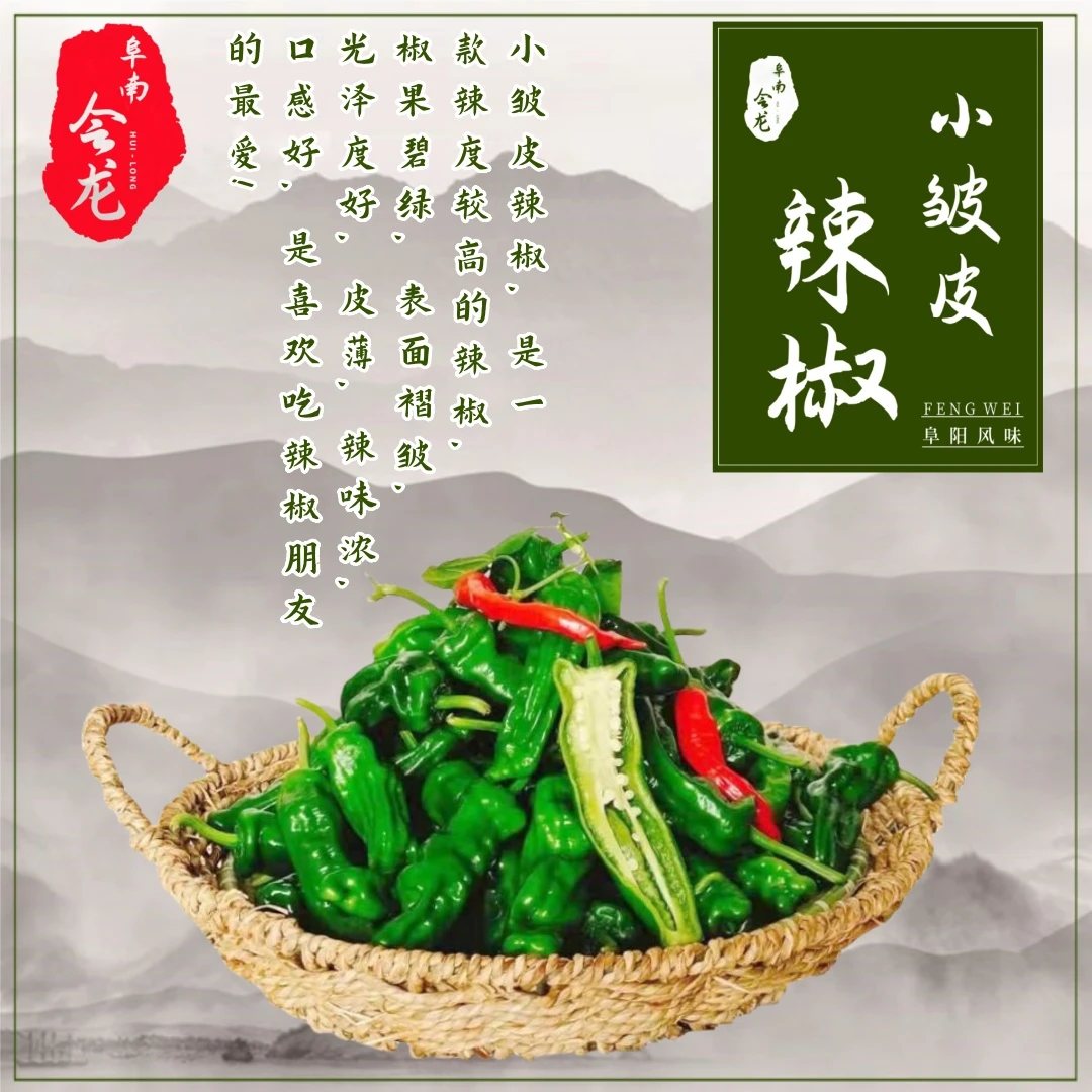 阜阳特辣小皱皮香辣小皱皮辣椒土辣椒皮薄青椒新鲜采【摘产地直发】