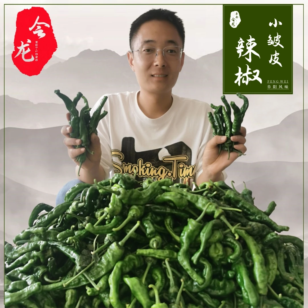 阜阳会龙小皱皮辣椒特辣皱皮椒薄皮青椒爆辣香辣土家辣椒现摘现发