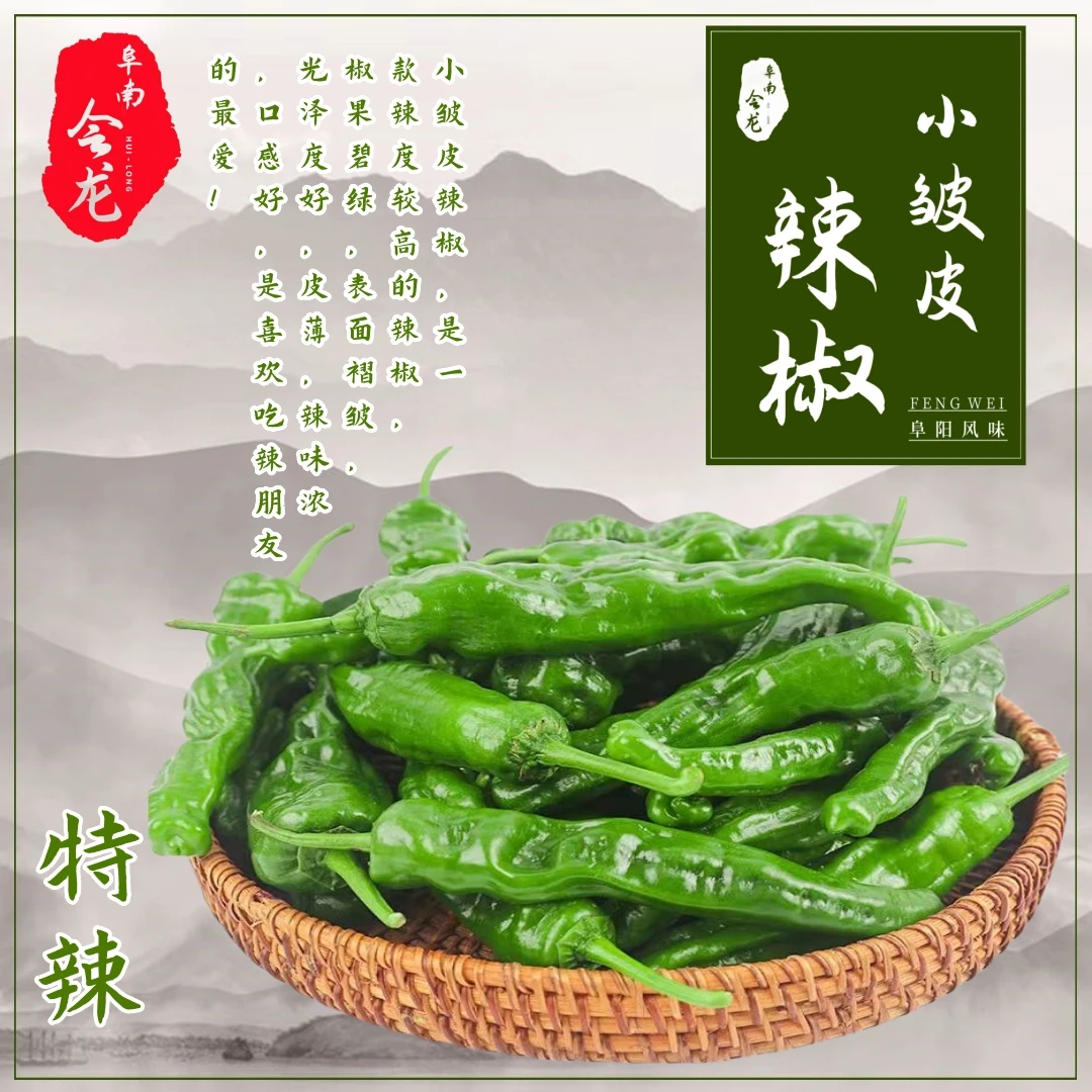 小皱皮辣椒特辣辣椒新鲜青辣椒特辣超辣螺丝农家自种辣椒现摘现发