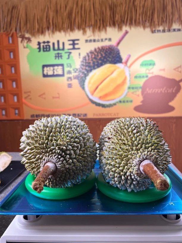 （超级福利）【猫山王两颗8房肉】A-马来西亚猫山王液氮10月鲜果 2颗组合