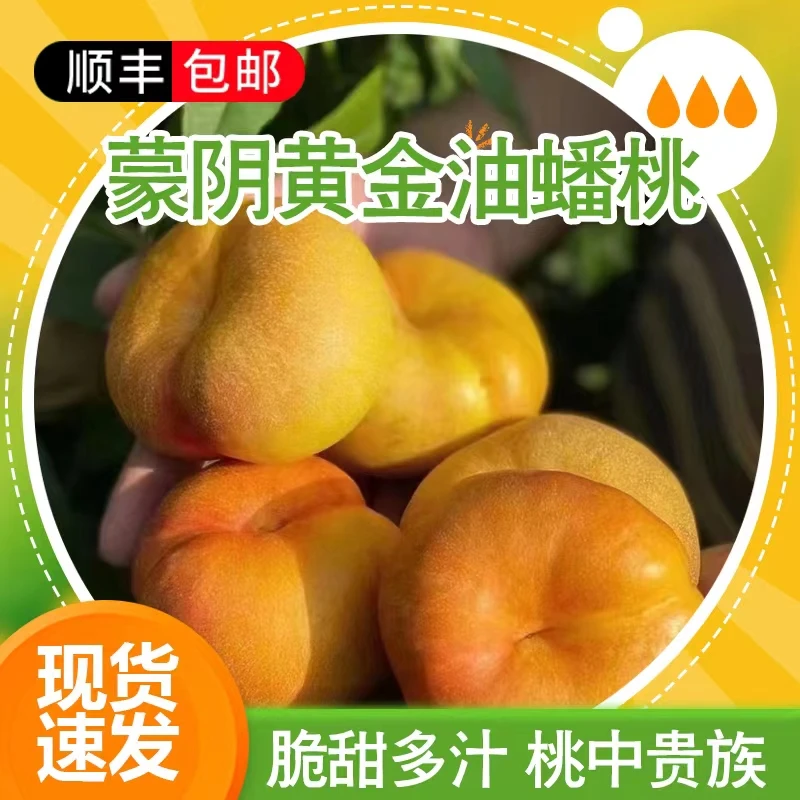 【顺丰包邮】蒙阴黄金油蟠桃硬吃脆甜软吃爆汁肉多核小（赵）