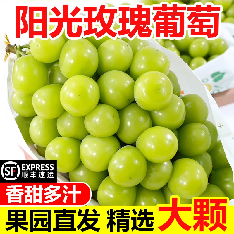 【顺丰彩箱】阳光玫瑰脆甜多汁新鲜采摘葡萄新鲜水果送礼
