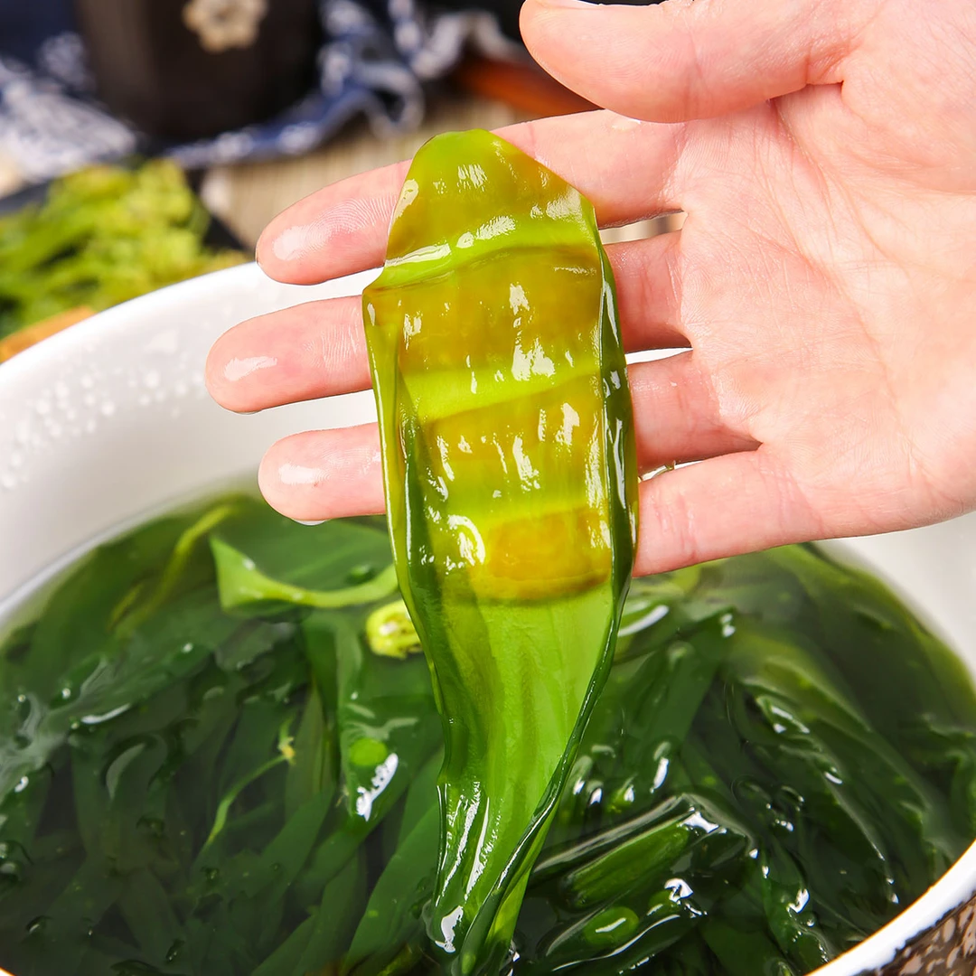 【海带嫩苗】霞浦海带苗 火锅菜凉拌菜煮汤400g 鲜嫩脆爽新鲜营养