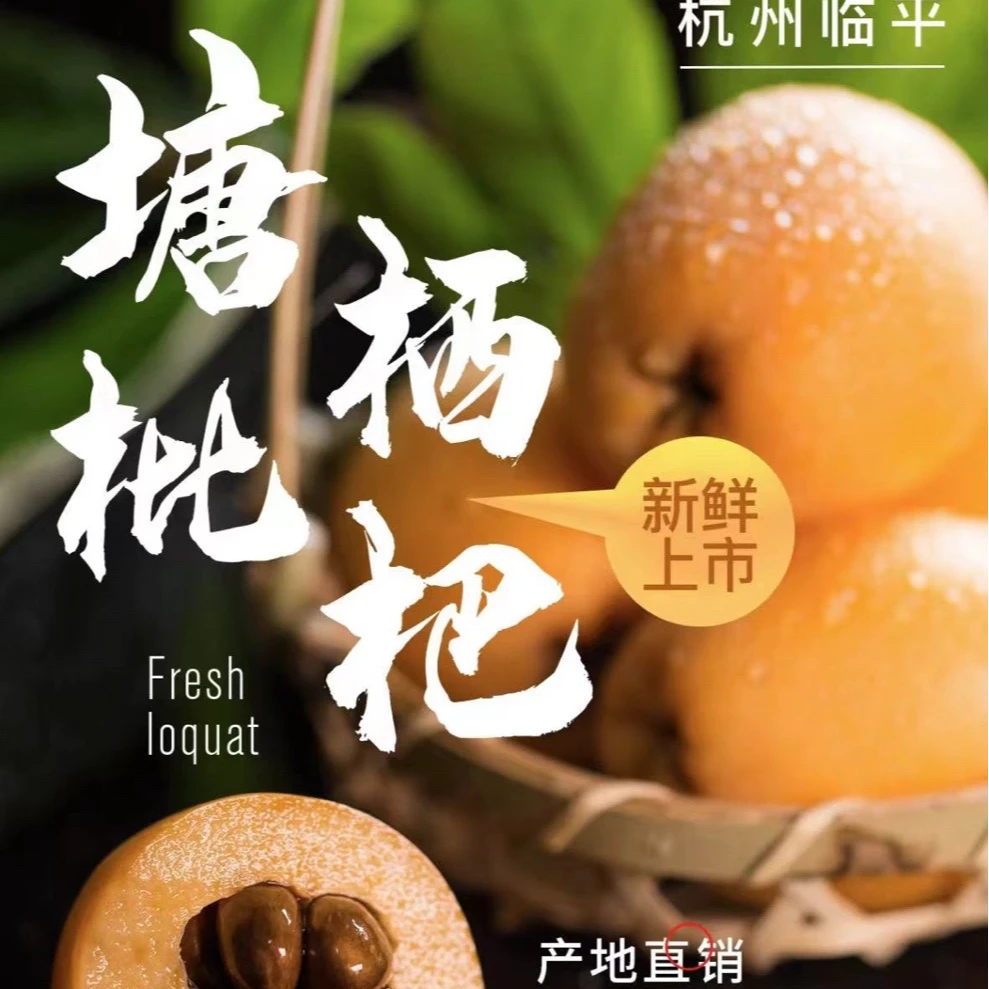 【顺丰速运】塘栖正宗红枇杷红毛丫头鲜甜多汁产地直销56颗约2-3斤