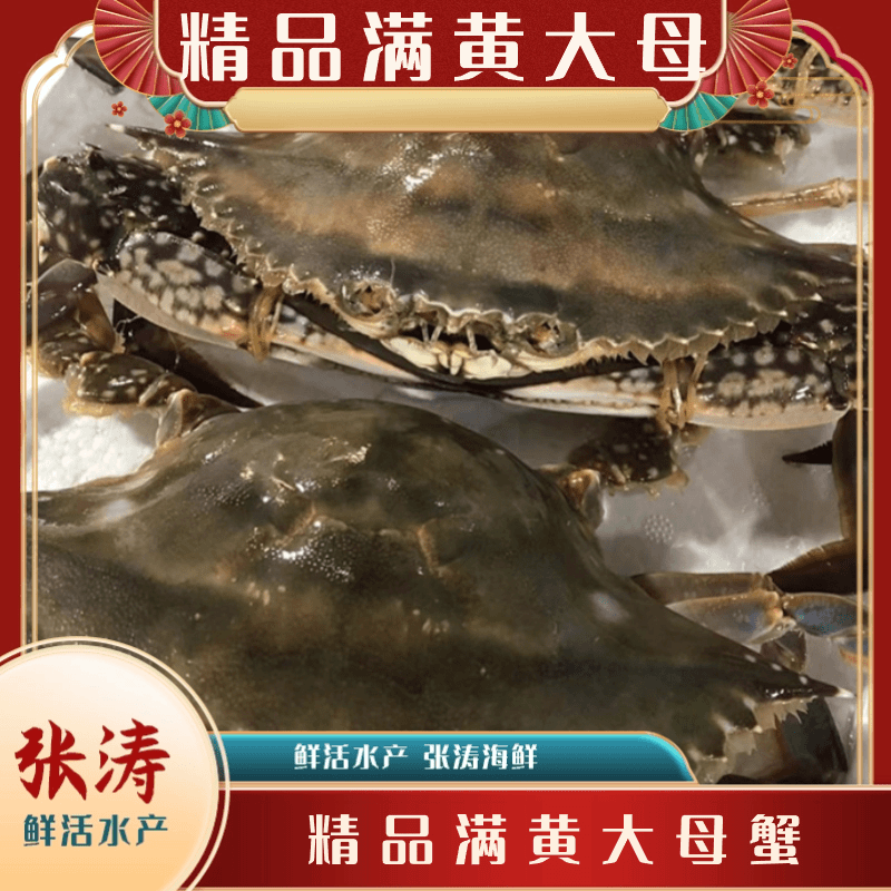 【海蟹】精品满黄大母蟹 海产 天津 张涛海鲜 2-8斤