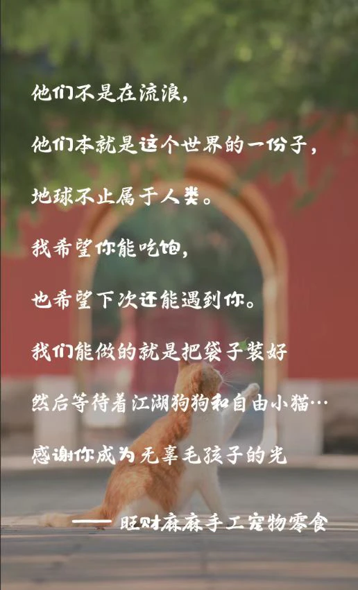 随单拍流浪毛孩子10g边角料小零食每单限1包介意勿拍