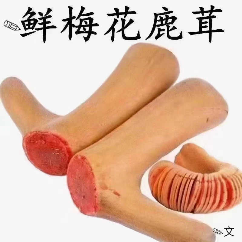 产地直发鹿茸 图片仅供参考 直播间实物为准