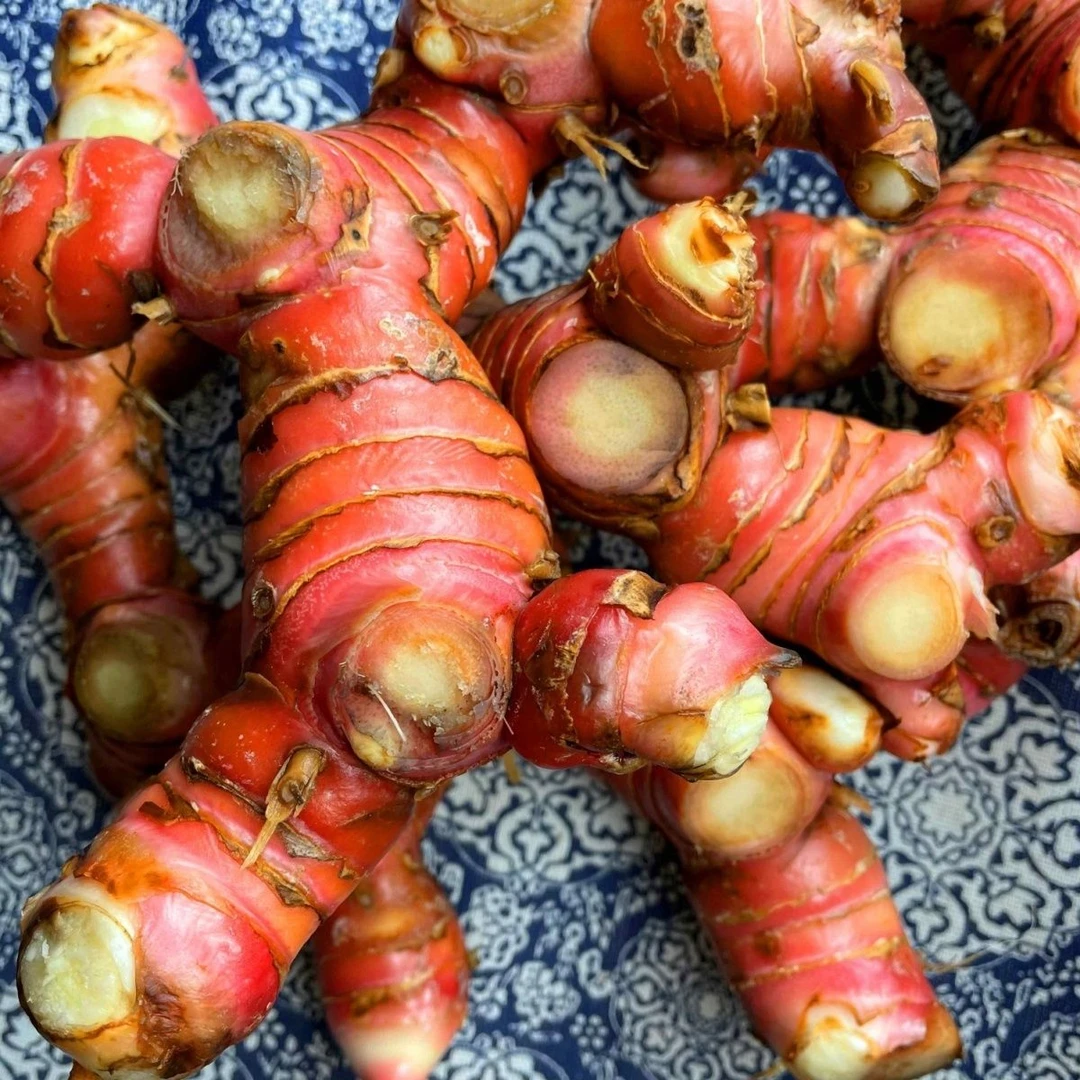 南姜包邮新鲜山姜卤水配料牛羊肉火锅去膻调料品500g