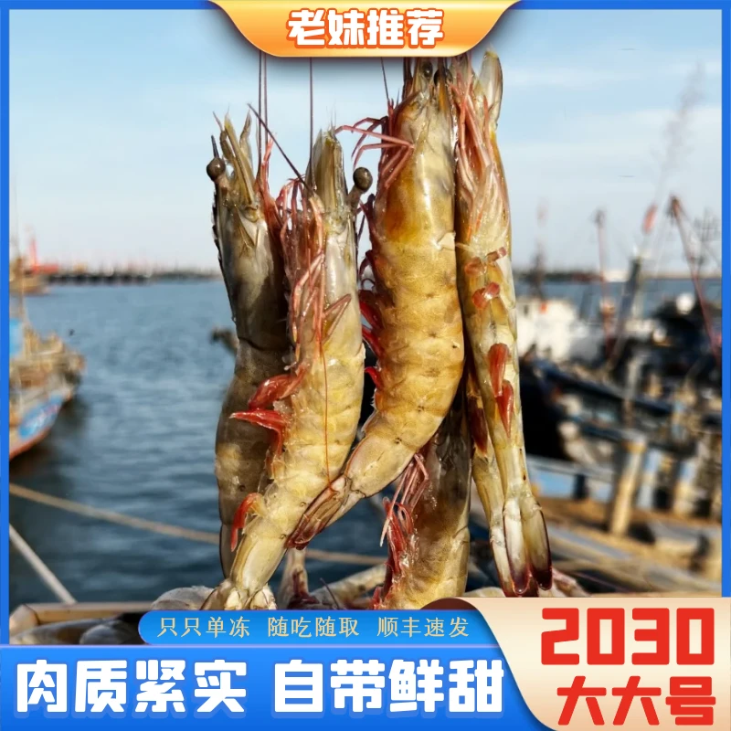 【老妹海鲜】2030规格海虾新甜海洋大虾海鲜盐冻约3.5斤左右