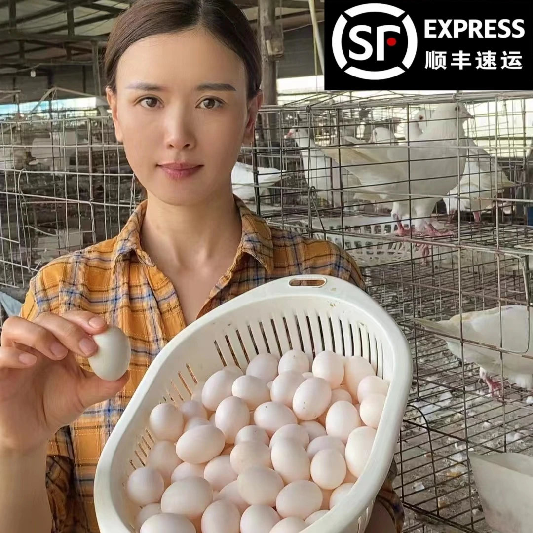 【破损包赔】杂粮鸽子蛋 当天鲜蛋 顺丰包邮 鸽场直发 30-60枚装