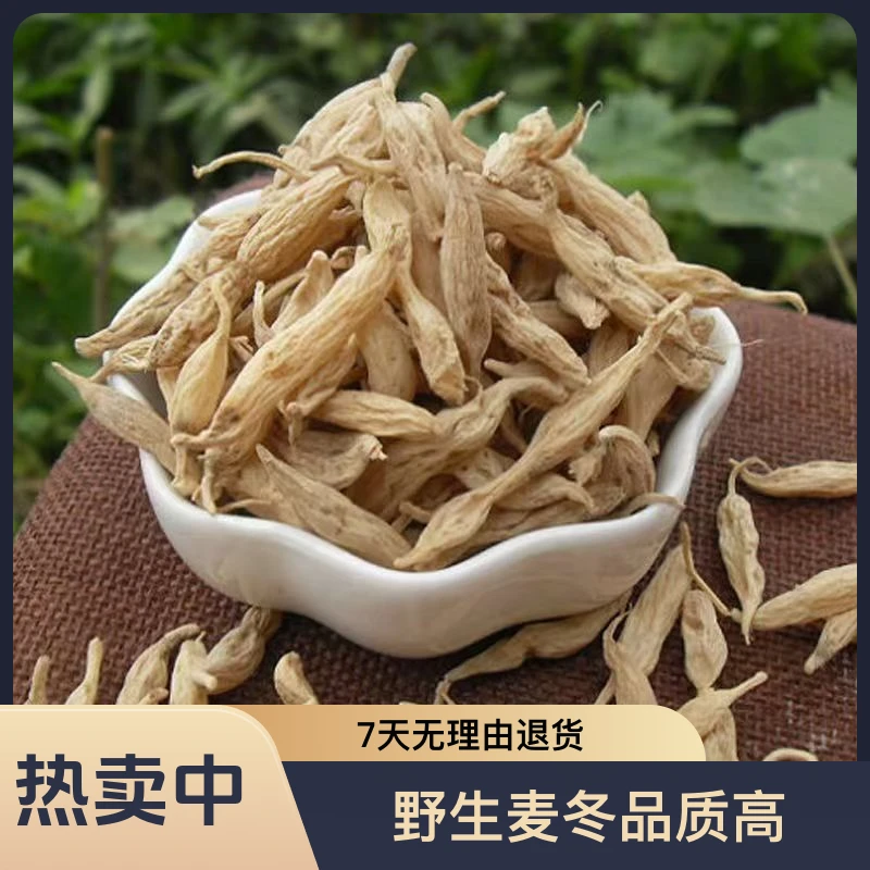 甘肃优质野生麦冬