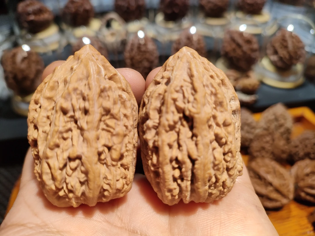 东北野生楸子核桃.楸南疆